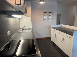 KönizSchöne Wohnung in Bern的带水槽和台面的厨房