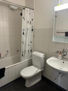 KönizSchöne Wohnung in Bern的浴室设有卫生间、水槽和淋浴帘