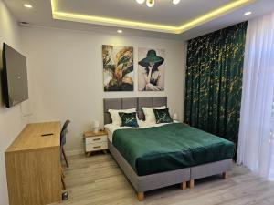 哈伊努夫卡Pensjonat-ek pod Jaworem的一间卧室,里面有一张床和一台平板电视