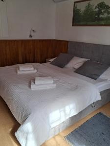 Postel nebo postele na pokoji v ubytování Ubytování nad sklípkem