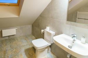 a bathroom with a toilet and a sink at Zakole Wiaru in Wojtkowa +55 photos