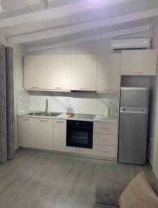 Kuchyň nebo kuchyňský kout v ubytování Apartamente Deon