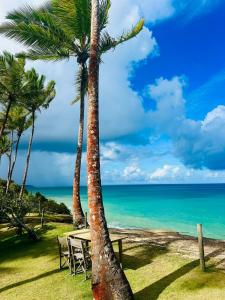 Naturlandskabet i nærheden af lejligheden