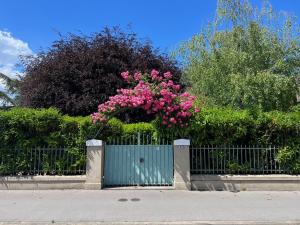 a gate with a bunch of pink flowers on it at Domus Purpurea in Yverdon-les-Bains