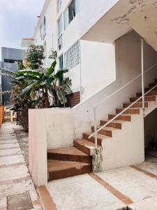 Isla SacrificiosにあるLindo Depto estilo vintage a una cuadra del bulevar 3er pisoの階段と植物のある建物