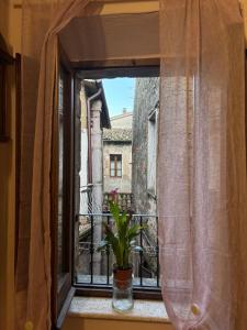 une fenêtre avec une plante en pot sur un balcon dans l'établissement Casetta privata nel corso, à Pitigliano
