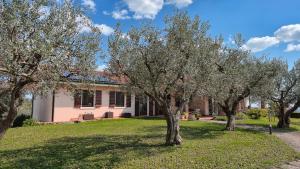 Zahrada ubytování Agriturismo CarpinoNero