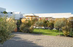 Κήπος έξω από το SN Santorini Apartments