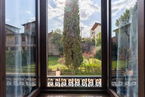 une fenêtre ouverte avec vue sur un arbre dans l'établissement Casa Preziosa - Salò, à Salò