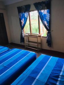 2 Betten in einem Zimmer mit blauer Bettwäsche und einem Fenster in der Unterkunft Sams Cottage in Nuwara Eliya + 15 Fotos