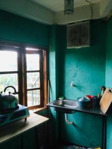 eine grüne Küche mit einem Waschbecken und einem Fenster in der Unterkunft Sams Cottage in Nuwara Eliya