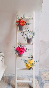 Fotografie z fotogalerie ubytování B&B Arco Trinità v Bari