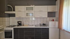 Kuchyň nebo kuchyňský kout v ubytování Apartment Nikolina