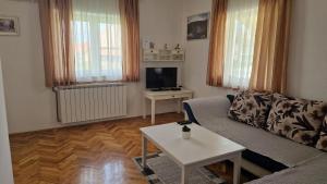 TV a/nebo společenská místnost v ubytování Apartment Nikolina