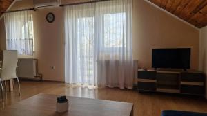 TV a/nebo společenská místnost v ubytování Apartment Nikolina