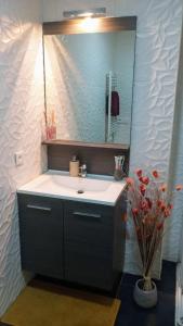 ein Badezimmer mit Waschbecken und Spiegel in der Unterkunft Apartment with pool in secure residence in Nizza
