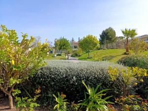 Ein Garten an der Unterkunft Apartment with pool in secure residence