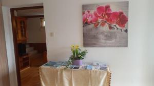 Fotografie z fotogalerie ubytování Haus Sonnenhang +Seeblick+Pool v destinaci Reifnitz