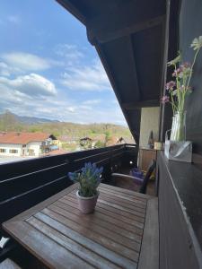 a wooden table with a potted plant on a balcony at Ferienwohnung am Mühlbach in Kiefersfelden