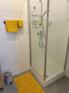 a shower with a glass door in a bathroom at Zentrale Wohnung mit Parkplatz in Graz +22 photos