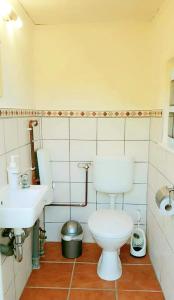 a bathroom with a white toilet and a sink at Ferienbungalows am See in Altfriesack +36 photos