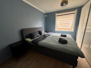 a bedroom with a bed with blue walls and a window at StarApartment Trolltunga 2 BR in Odda