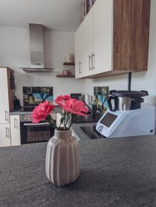 eine Vase mit rosa Blumen auf dem Tresen in der Küche in der Unterkunft Ferienwohnung im Tal der Liebe in Schmelz