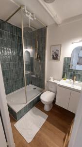 a bathroom with a shower and a toilet and a sink at Apartment in Noailles Marseille in Marseille +17 photos