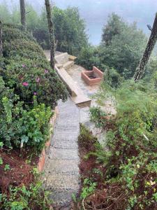 a stone walkway with a bench in a garden at Amplia y bonita casa familiar en medio de la naturaleza descanso vistas e internet in Necaxa