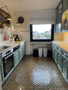 Kuchyň nebo kuchyňský kout v ubytování Rintelner Gänse-Quartier