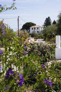 En have udenfor Casa Yasmina