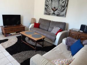a living room with a couch and a television at Néflier in Ménesplet