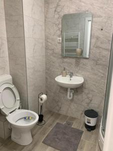 a bathroom with a toilet and a sink at Stan na dan Gradiška in Bosanska Gradiška