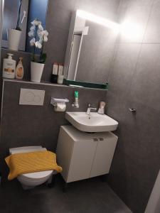 Koupelna v ubytování schickes gemütliches Studio