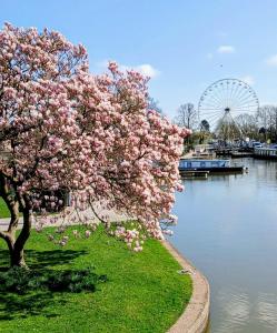 Vaade palkmajakese lähedal voolavale jõele