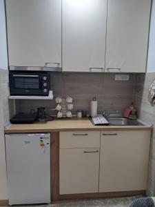 Köök või kööginurk majutusasutuses Apartman Zvezdica +10 fotot
