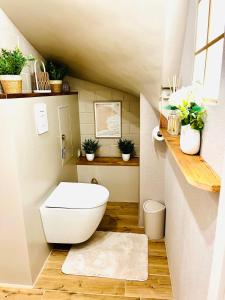 a bathroom with a toilet in a small room at Extravagantes Apartment in Potsdam