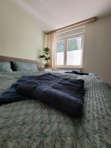 Postel nebo postele na pokoji v ubytování Haus Am Beckerberg im Harz