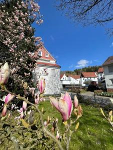 Zahrada ubytování Haus Am Beckerberg im Harz