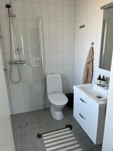 a bathroom with a toilet and a shower and a sink at Nybyggd gästlägenhet med sovloft in Falkenberg +11 photos