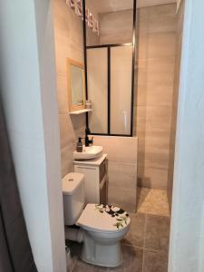 a small bathroom with a toilet and a sink at studio Caraïbes in Les Trois-Îlets