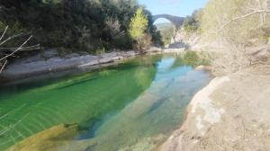 een rivier met groen water en een brug op de achtergrond bij La casa de l'Avi in Tortellá