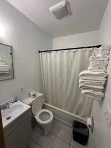 a bathroom with a toilet and a sink and a shower at Sportsman Motel in Malta