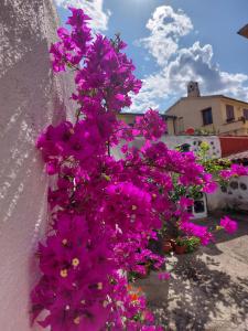 a bunch of purple flowers on a wall at B&B Mes' Agustu in Galtellì