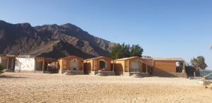 a row of houses in front of a mountain at The White Beach in Nuweiba +41 photos