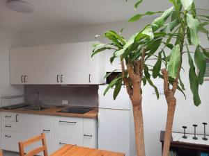 Kuchyň nebo kuchyňský kout v ubytování Vivienda vacacional Casa Rosi