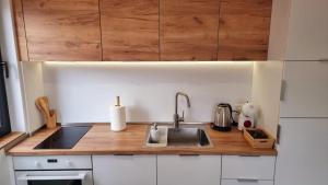 Η κουζίνα ή μικρή κουζίνα στο Tehnoplus apartment