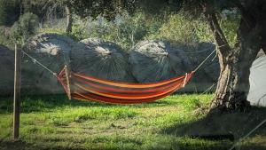 Zahrada ubytování Waveside Camping