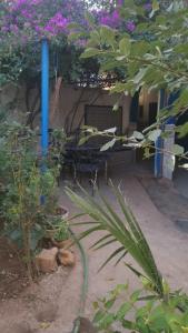 Kebun di luar Le jardin d'habiba