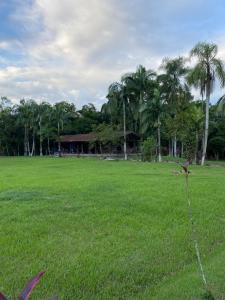 a field of grass with palm trees in the background at Chácara Recanto Paraíso das Águas in Morretes